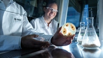 White biotechnology – also known as industrial biotechnology – uses microorganisms and enzymes to produce chemical and biochemical products. The microorganisms are bred for each new substance and further developed for the production process. Biology lab technicieans Yvonne Liebner and Nicola Basta show a fungal culture grown on rice. White biotechnology – also known as industrial biotechnology – uses microorganisms and enzymes to produce chemical and biochemical products. The microorganisms are bred for each new substance and further developed for the production process. Biology lab technicieans Yvonne Liebner and Nicola Basta show a fungal culture grown on rice.