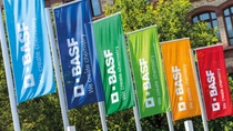 BASF-Fahnen am Standort Ludwigshafen