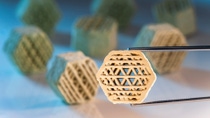 Close-up of a ceramic catalyst support with a complex structure held by tweezers; several similar structures blurred in the background.