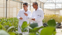 By 2030, more than 30 major R&D projects will complement BASF’s connected offer of seeds and seed treatment products, chemical and biological solutions, as well as digital services.