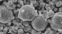 Lithium manganese oxide (LMO) and nickel cobalt manganese (NCM) blends Lithium manganese oxide (LMO) and nickel cobalt manganese (NCM) blends