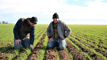 Two farmers in the field Two farmers in the field