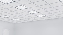 Empty bright office room with square lights. 3d rendering