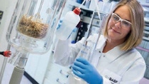 Women employee working with chemical in the lab  Women employee working with chemical in the lab