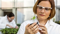 The Plant Health Researchers Stephanie Haines (front) and Amanda Holland (back) examine plant growth in plants treated with BASF plant health products. These facilities located at Research Triangle Park, North Carolina, are an epicenter for biotech and plant health research.
Print free of charge. Copyright by BASF.
Die Wissenschaftlerinnen Stephanie Haines (vorne) und Amanda Holland (hinten) untersuchen das Wachstum von Pflanzen, die mit BASF-Pflanzenschutzmitteln behandelt wurden. Die Forschungseinrichtungen in Research Triangle Park, North Carolina, sind Dreh- und Angelpunkt für Biotechnologie und Forschung zu Pflanzenschutzmitteln.
Abdruck honorarfrei. Copyright by BASF.,The Plant Health Researchers Stephanie Haines (front) and Amanda Holland (back) examine plant growth in plants treated with BASF plant health products. These facilities located at Research Triangle Park, North Carolina, are an epicenter for biotech and plant health research.
Print free of charge. Copyright by BASF.
Die Wissenschaftlerinnen Stephanie Haines (vorne) und Amanda Holland (hinten) untersuchen das Wachstum von Pflanzen, die mit BASF-Pflanzenschutzmitteln behandelt wurden. Die Forschungseinrichtungen in Research Triangle Park, North Carolina, sind Dreh- und Angelpunkt für Biotechnologie und Forschung zu Pflanzenschutzmitteln.
Abdruck honorarfrei. Copyright by BASF. The Plant Health Researchers Stephanie Haines (front) and Amanda Holland (back) examine plant growth in plants treated with BASF plant health products. These facilities located at Research Triangle Park, North Carolina, are an epicenter for biotech and plant health research.
Print free of charge. Copyright by BASF.
Die Wissenschaftlerinnen Stephanie Haines (vorne) und Amanda Holland (hinten) untersuchen das Wachstum von Pflanzen, die mit BASF-Pflanzenschutzmitteln behandelt wurden. Die Forschungseinrichtungen in Research Triangle Park, North Carolina, sind Dreh- und Angelpunkt für Biotechnologie und Forschung zu Pflanzenschutzmitteln.
Abdruck honorarfrei. Copyright by BASF.,The Plant Health Researchers Stephanie Haines (front) and Amanda Holland (back) examine plant growth in plants treated with BASF plant health products. These facilities located at Research Triangle Park, North Carolina, are an epicenter for biotech and plant health research.
Print free of charge. Copyright by BASF.
Die Wissenschaftlerinnen Stephanie Haines (vorne) und Amanda Holland (hinten) untersuchen das Wachstum von Pflanzen, die mit BASF-Pflanzenschutzmitteln behandelt wurden. Die Forschungseinrichtungen in Research Triangle Park, North Carolina, sind Dreh- und Angelpunkt für Biotechnologie und Forschung zu Pflanzenschutzmitteln.
Abdruck honorarfrei. Copyright by BASF.