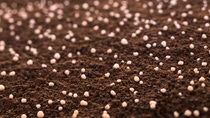 Pilot project in China demonstrates that Limus ® -treated urea fertilizers lead to significant carbon emissions reductions. Pilot project in China demonstrates that Limus ® -treated urea fertilizers lead to significant carbon emissions reductions.