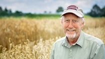 Mark Sorrells stands in the middle of a wheat field.
