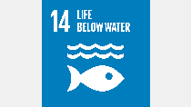 SDG 14: Life below water SDG 14: Life below water