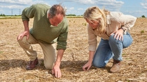 William Pitts, farmer, and Alice Johnston, Sustainability Manager for BASF Agricultural Solutions in the UK, examine the soil quality of the Fortress field at The Grange Farm in Northamptonshire
