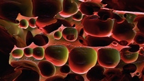 Photo: Resistant foam Photo: Resistant foam