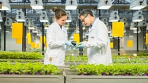 Adapzo® Active, die neueste Fungizid-Innovation aus der F&E-Pipeline von BASF Agricultural Solutions, wurde vom FRAC mit einem neuen Wirkmechanismus klassifiziert. Adapzo unterstützt Landwirte bei der Kontrolle des Asiatischen Sojabohnenrosts und hilft ihnen, Erträge zu maximieren.