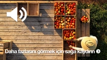 Şapka takan bir çiftçi, açık havada çeşitli domates türleriyle dolu birkaç sandığın yanında ahşap bir platformda ayakta duruyor.&nbsp;
