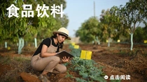 一名女性农户手持平板电脑，正在田地中检查植物。图像上的文字为“食品饮料”。 