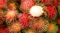 Material loops are also being closed by renewable raw materials. One example is the Rambutan program, which sources high-quality active ingredients from previously unutilized plant parts. BASF researchers discovered that active ingredients from the leaves, peel and seeds of the rambutan fruit have positive effects on skin and hair. In order to sustainably source the cosmetic ingredients,  the company’s Rambutan program has established a socially and environmentally responsible supply chain with local partners in Vietnam and initiated the cultivation of the first two organically certified rambutan gardens in Vietnam.  Material loops are also being closed by renewable raw materials. One example is the Rambutan program, which sources high-quality active ingredients from previously unutilized plant parts. BASF researchers discovered that active ingredients from the leaves, peel and seeds of the rambutan fruit have positive effects on skin and hair. In order to sustainably source the cosmetic ingredients,  the company’s Rambutan program has established a socially and environmentally responsible supply chain with local partners in Vietnam and initiated the cultivation of the first two organically certified rambutan gardens in Vietnam.