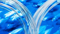 Verbesserte Transparenz und Weichheit von Folien und Monofilamenten / Improved transparency and softness for films and monofilaments Verbesserte Transparenz und Weichheit von Folien und Monofilamenten / Improved transparency and softness for films and monofilaments