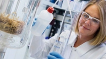 Female employee in lab coat and safety goggles measuring chemical in a beaker 