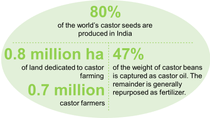 infographic - 0.8 million ha of land dedicated to castor framing, 0.7 million castor farmers. 47% of the weight of castor beans is captured as castor oil. The remainder is generally repurposed as fertilizer.