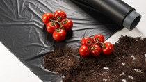 With ecovio® M 2351, BASF offers a certified soil-biodegradable plastic for mulch films consisting of the biodegradable co-polyester polybutylene adipate terephthalate (PBAT) ecoflex® and other biodegradable polymers made from renewable raw materials. Mulch films made of ecovio® M 2351 can be ploughed into the soil after mechanical harvest as naturally occurring micro-organisms in the soil recognize the structure of the film as food they can metabolize. When growing tomatoes, mulch films made of ecovio® can lead to an increased yield from 15 to 50 percent, less water consumption and a better weed control with less herbicides compared to bare-soil farming.