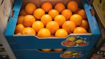 Kartonnen doos met sinaasappels 