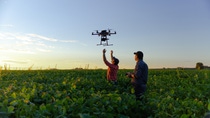 Drone no copyright in a soybean field, Drone no copyright in a soybean field,