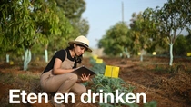 Een vrouwelijke landbouwer die een overall en een hoed draagt, houdt een tablet vast en onderzoekt planten in een veld op een zonnige dag. De tekst op de afbeelding luidt: "Eten en drinken."