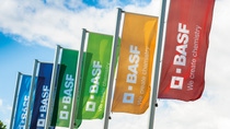 BASF flags at the Ludwigshafen site BASF flags at the Ludwigshafen site