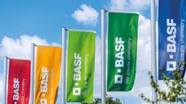 BASF flags at the Ludwigshafen site