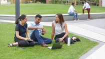 Three young employees with a laptop sitting on the lawn and talking animatedly.  Three young employees with a laptop sitting on the lawn and talking animatedly.