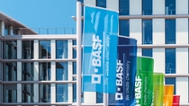 BASF-Fahnen am Standort Ludwigshafen