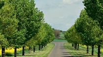 Biomass Balance Approach Biomass Balance Approach