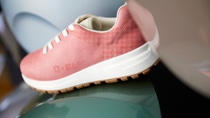 Red shoe with BASF Logo Red shoe with BASF Logo