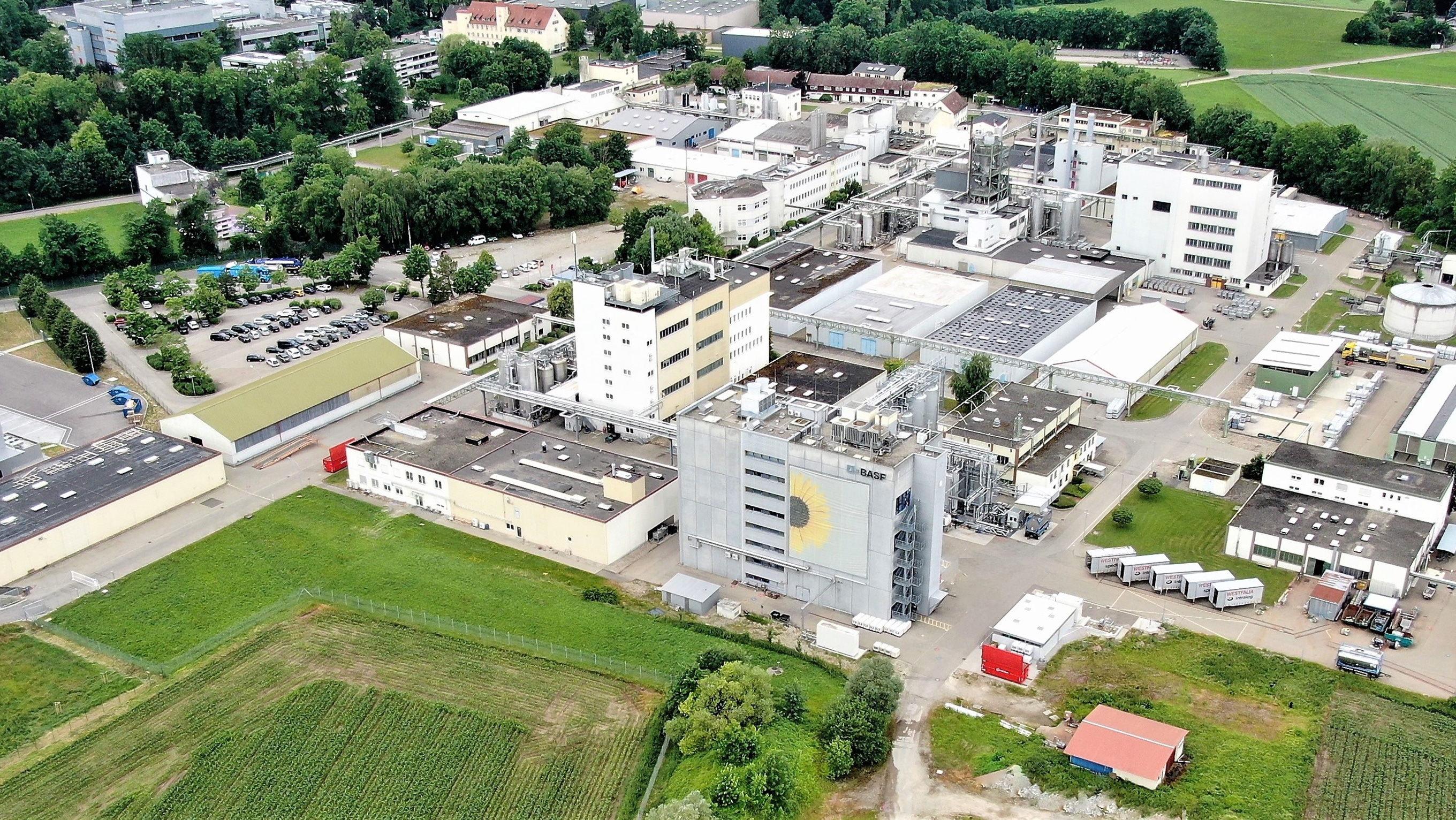 BASF to sell Food and Health Performance Ingredients business to Louis  Dreyfus Company