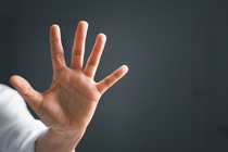 A plant in a field covered with black foil, persons working in the background.