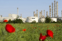 A plant in a field covered with black foil, persons working in the background.