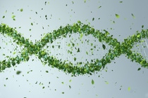 Tow employees during an inspection tour of the demonstration plant