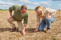 William Pitts, farmer, and Alice Johnston, Sustainability Manager for BASF Agricultural Solutions in the UK, examine the soil quality of the Fortress field at The Grange Farm in Northamptonshire