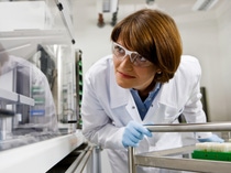 Labormitarbeiterin Silke Rust überwacht das Erstellen von Wirkstofflösungen in kleinen Röhrchen. In diesem Labor werden die Wirkstoffe auf Mikrotiterplatten konfektioniert und für verschiedene Screening-Systeme bereitgestellt. Das Ziel von BASF ist es durch ein automatisiertes Verfahren  vom Wirkstoff zum innovativen Pflanzenschutzmittel zu gelangen.