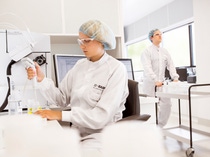Das Kompetenzzentrum Analytik der BASF betreibt mehrere Reinräume, um die hohe Qualität der BASF Chemikalien für die Halbleiterindustrie zu gewährleisten. Nach allen nötigen Schritten des Probenvorbereitens werden die fertigen Probelösungen am Messgerät analysiert. Chemielaborantin Melanie Bauer untersucht die Proben auf ihre Reinheit. Die mit Kunden vereinbarten Grenzwerte für Störstoffe müssen eingehalten werden.