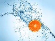 Foto: BASF / Shutterstock