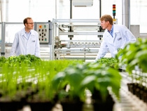 Die Labormitarbeiter Jurith Montag und Justus Rabe bereiten mit diesem Versuchsaufbau den nächsten Wirkstofftest vor. Das Ziel von BASF ist es durch ein automatisiertes Verfahren  vom Wirkstoff zum innovativen Pflanzenschutzmittel zu gelangen.
