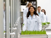 Die Labormitarbeiter Maria Quintero, Justus Rabe, Timo Striebinger und Patricia Schädel  arbeiten gemeinsam im Gewächshaus an dem Pflanzenschutz der Zukunft. BASF arbeitet hier an einem Wirkstoff, der die Pflanze schon vor dem Keimen schützt. Das neue Pflanzenschutzmittel  ermöglicht dem Landwirt in Zukunft einen höheren Ernteertrag. 
