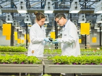 Adapzo® Active, die neueste Fungizid-Innovation aus der F&E-Pipeline von BASF Agricultural Solutions, wurde vom FRAC mit einem neuen Wirkmechanismus klassifiziert. Adapzo unterstützt Landwirte bei der Kontrolle des Asiatischen Sojabohnenrosts und hilft ihnen, Erträge zu maximieren.