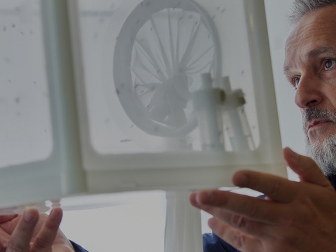 Malaria-Experte Justin McBeath betrachtet Mosquitos im Labor