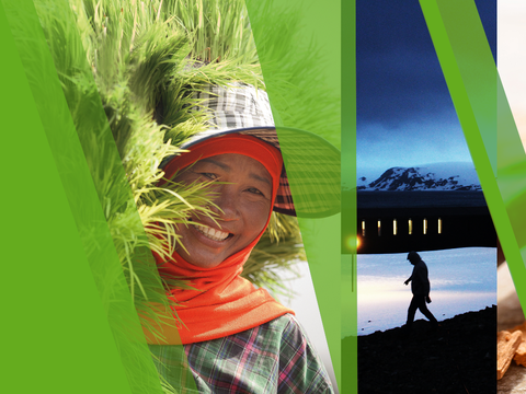 A collage of pictures from different BASF sustainability projects like a woman carrying palm leaves, a man walking through snow at night or sandalwood oil