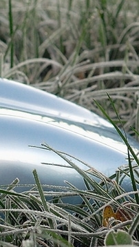 Lackobjekt liegt im hohen Gras Lackobjekt liegt im hohen Gras