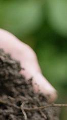 Man holding soil in his hands