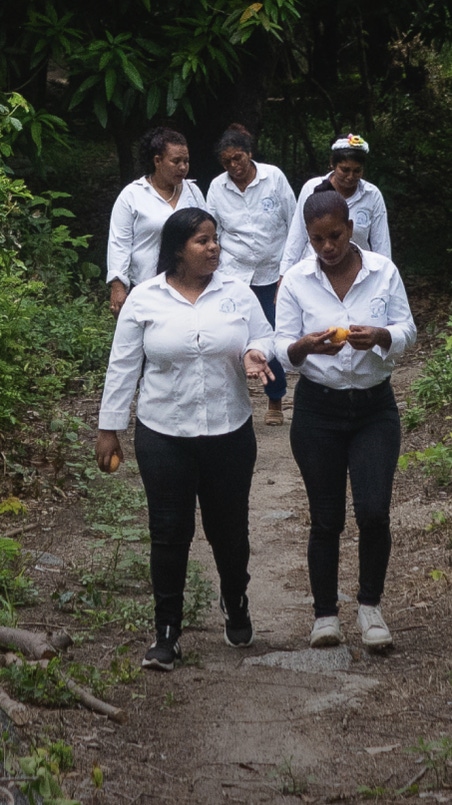 A group of women in white shorts walking through a rainforest.