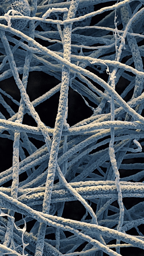 Clothes with UV protection, gas sensor components or laptop casings – there are a wide variety of applications for these tiny fibers. Currently, however, inorganic nanofibers are still being researched in Ludwigshafen. What’s so special about them? With a diameter of less than 300 nanometers, they are a thousand times finer than a human hair. That means they are no longer visible under a normal optical microscope.       Magnification 7 000 :1 (12cm in width)