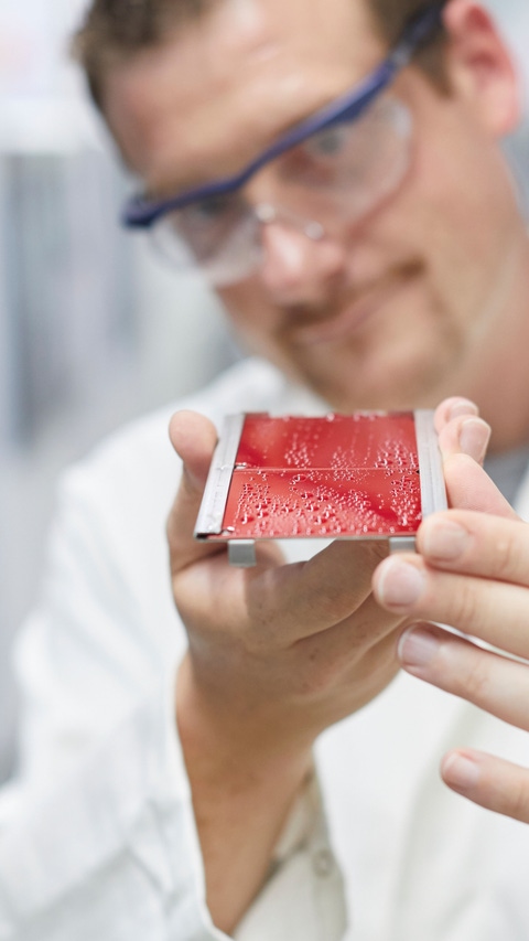 Staff member inspects a painted metal sheet 