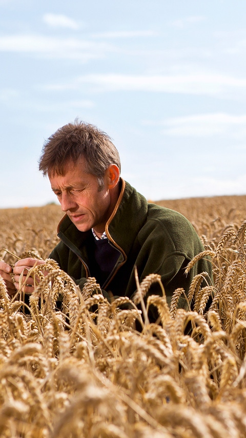 On the English farm "The Grange", farmer Andrew Pitts brings modern agriculture and the protection of biodiversity together. The farm is supported by the European Farm Network, a BASF partnership with experts for agriculture and nature protection. Farmers as well as experts for agriculture and for nature conservation join their knowhow, create measures that increase sustainable farming and test them. 
Andrew Pitts monitors the quality and quantity of the harvest because only by profitability a sustainable business is possible.